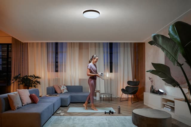 Philips Hue Enrave L loftlampe (sort)