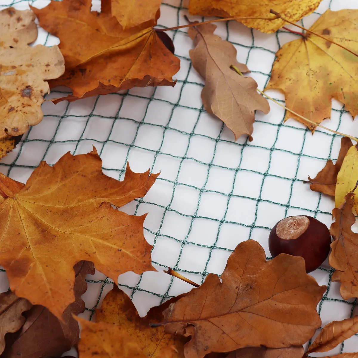 Aquagart Filet anti-feuilles 25 m x 10 m