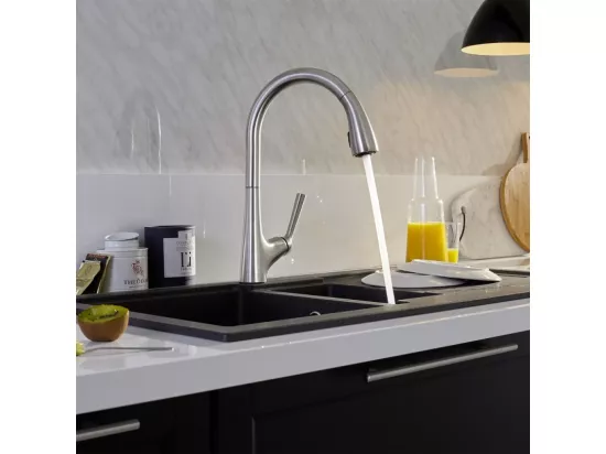 Mitigeur cuisine JACOB DELAFON Forte Bec douchette extractible en inox brossé