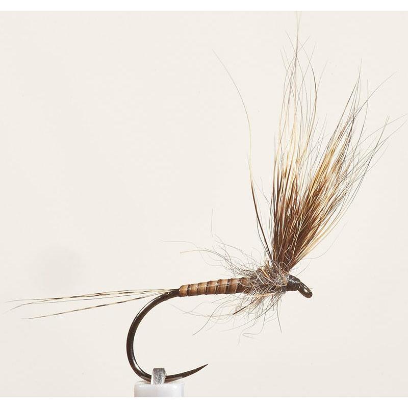 Mouche Jmc Odc 11