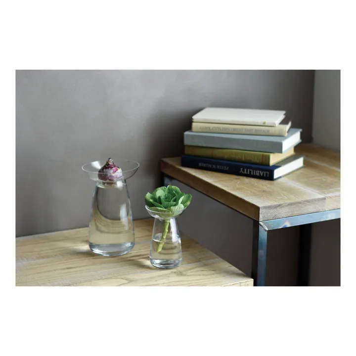 Kinto Vase en verre Aquaculture | Transparent