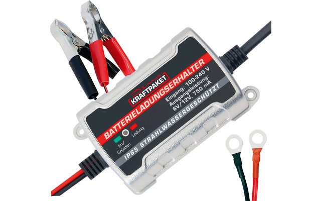 Dino Kraftpaket Batterie Erhaltungsladegerät 6 V /12 V 750 mA