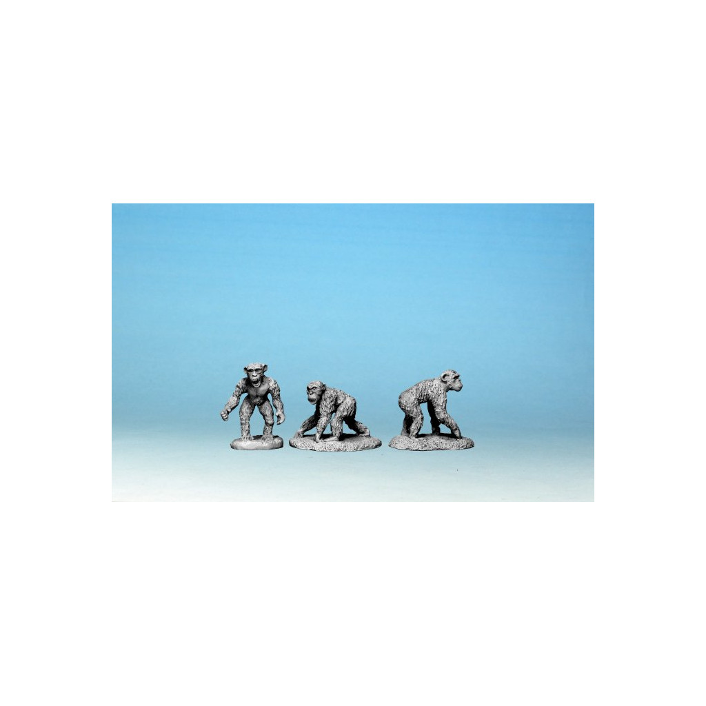 Chimpanzees