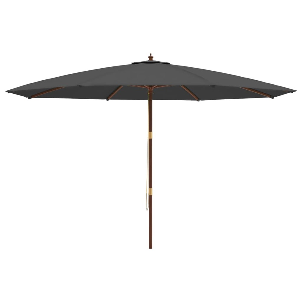 Parasol de jardin avec mât en bois 400 x 273 cm anthracite