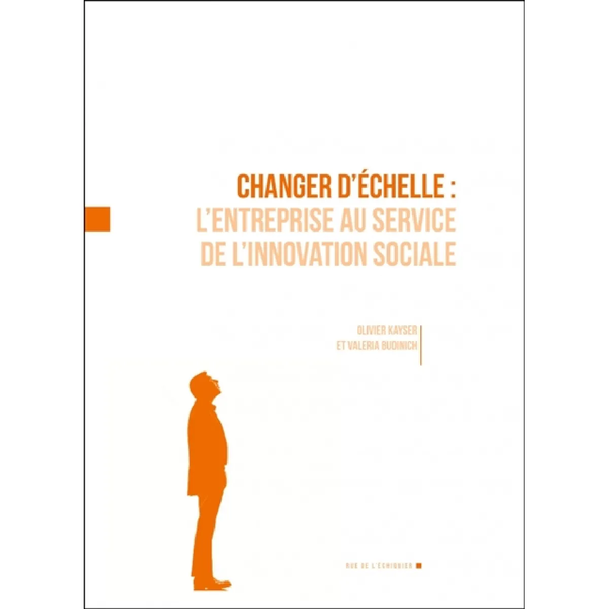 Changer d'échelle : l'entreprise au service de l'innovation sociale · Occasion