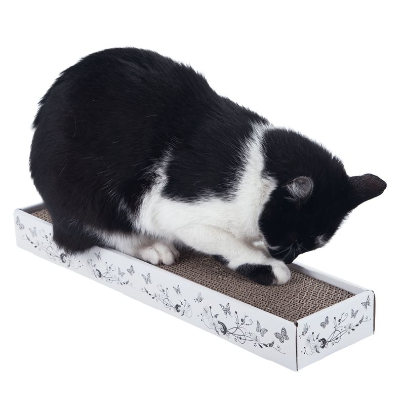 Griffoir en carton Multi-Scratch
