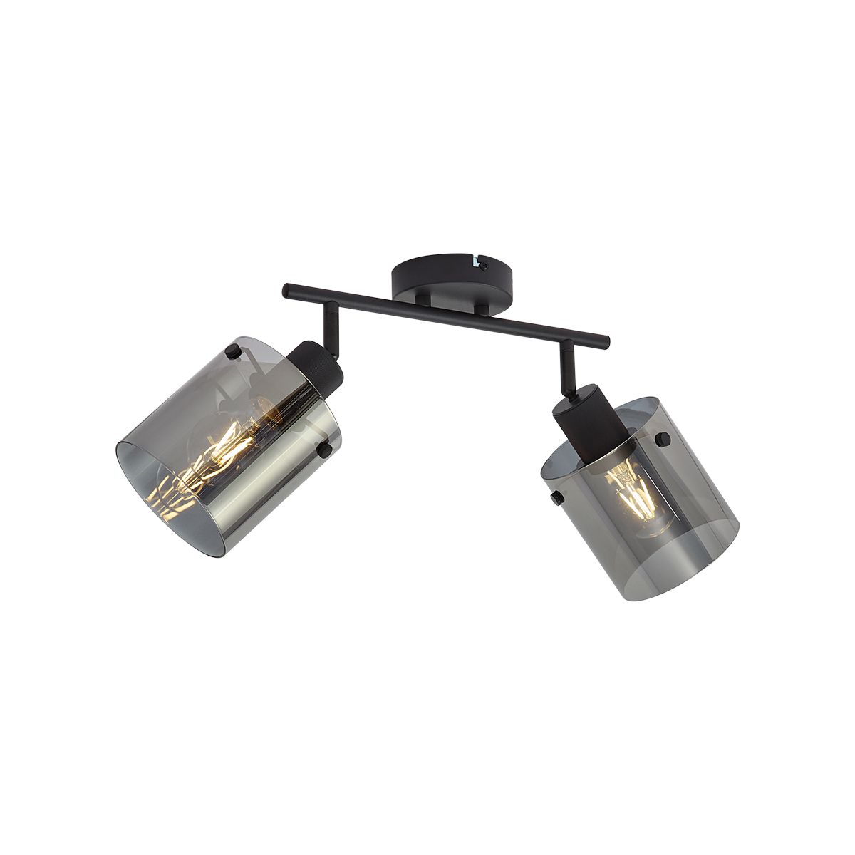Design plafondspot zwart met smoke glas 2-lichts - Domo