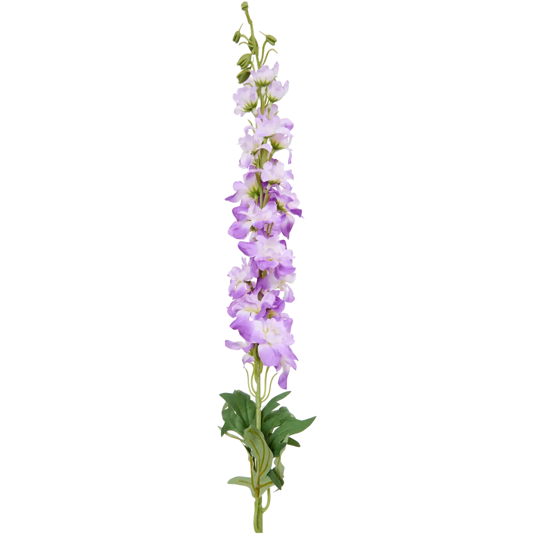 Delphinium sur tige