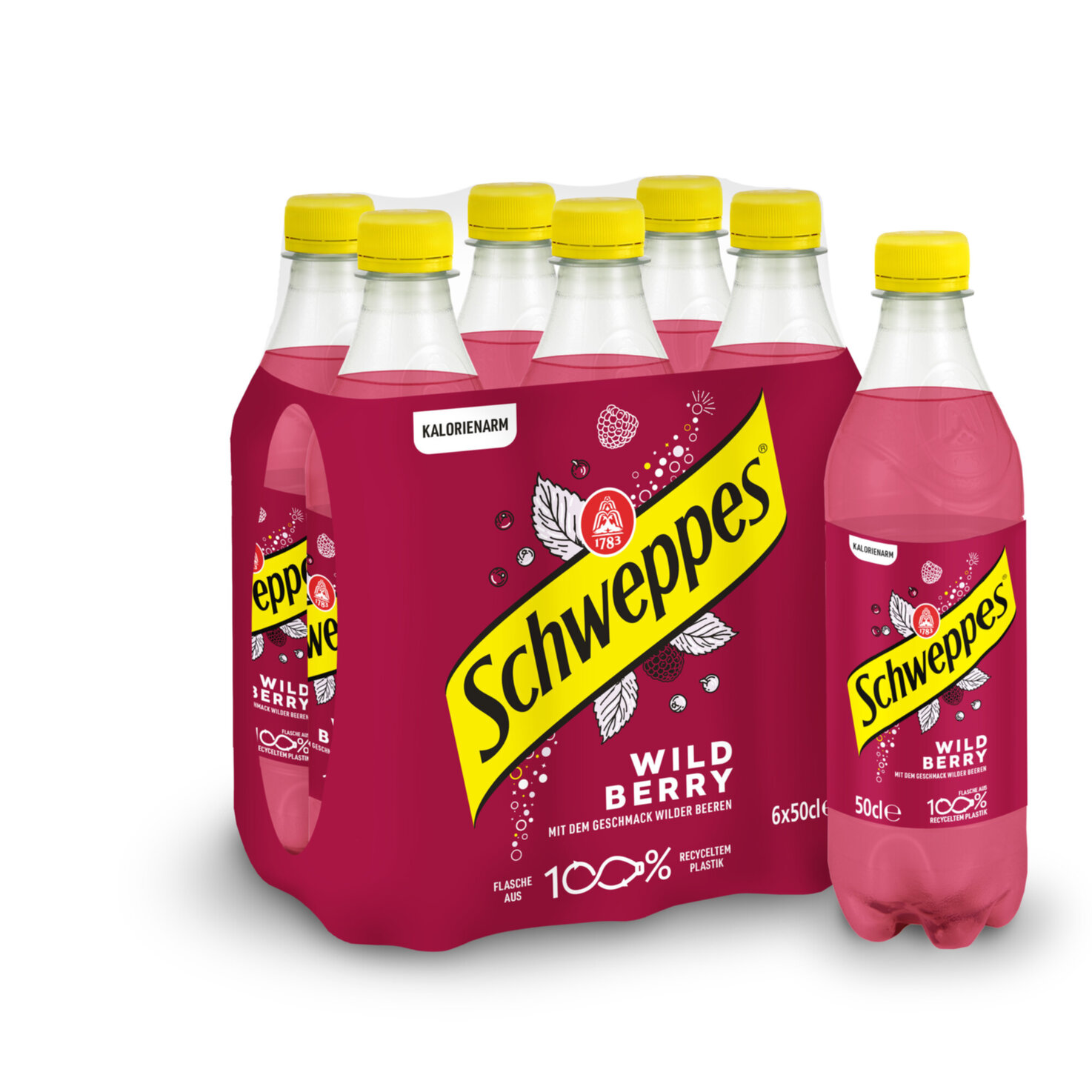 Schweppes Wild Berry 6x50cl -300cl