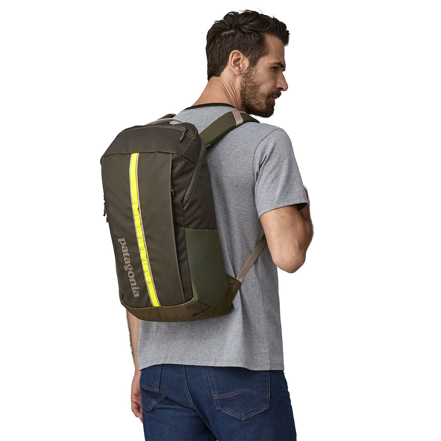 Patagonia Black Hole Pack 25L pine needle green