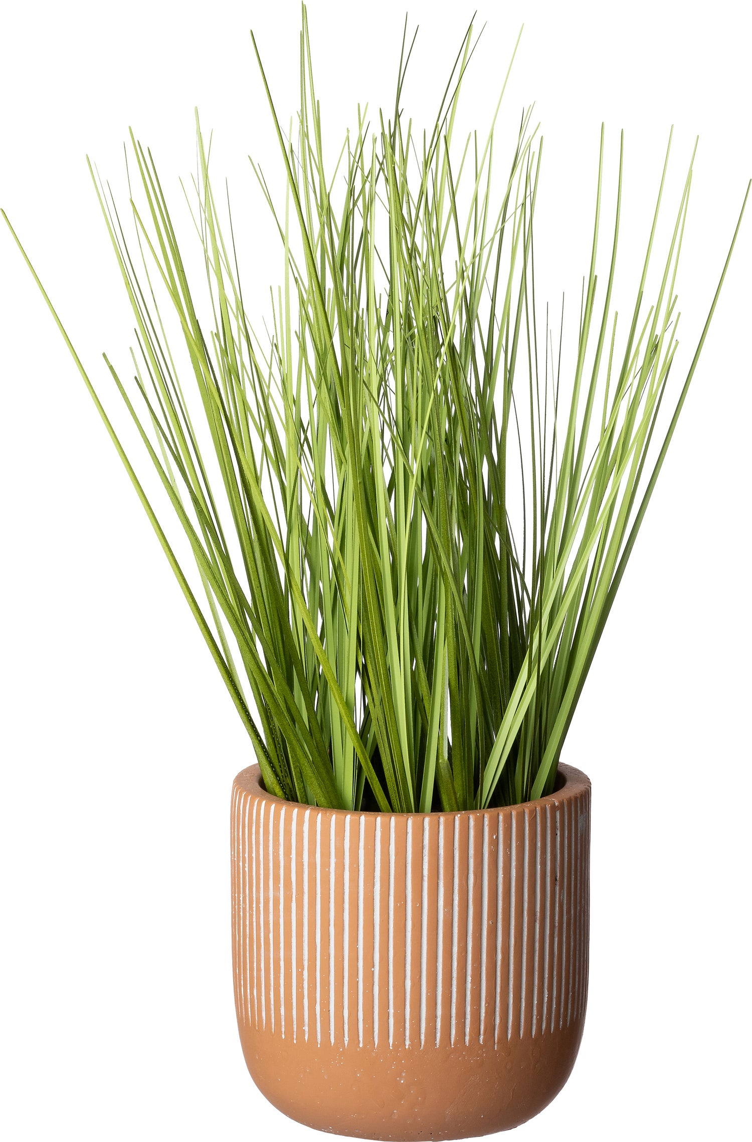 Intratuin kunstplant Zegge 10 x 10 x 30 cm