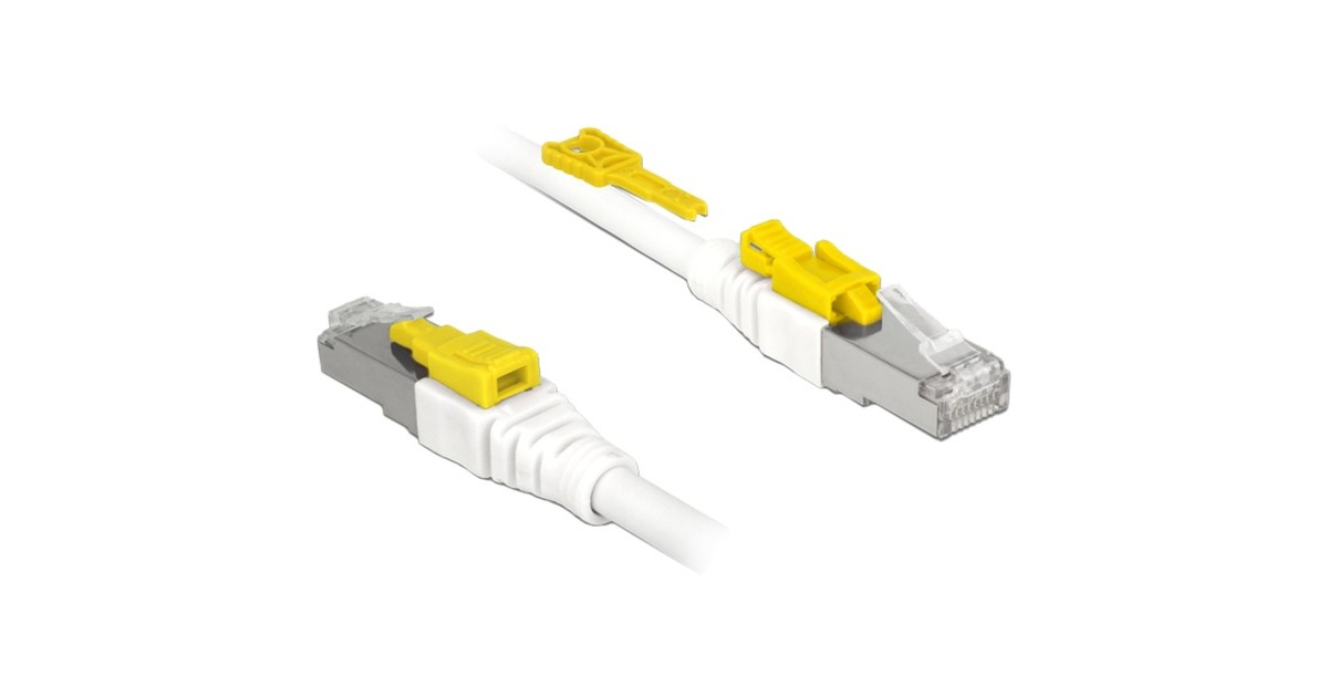 DeLOCKPatchkabel RJ-45 Secure met Cat.6a  (Wit, 85335, 5 meter)