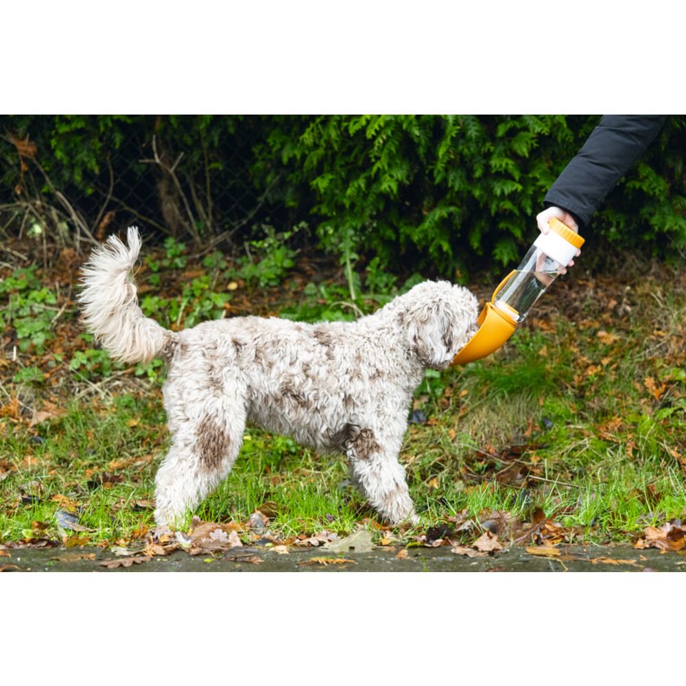 Beeztees Nel Drinkfles Hond Silicone Assorti600 ml