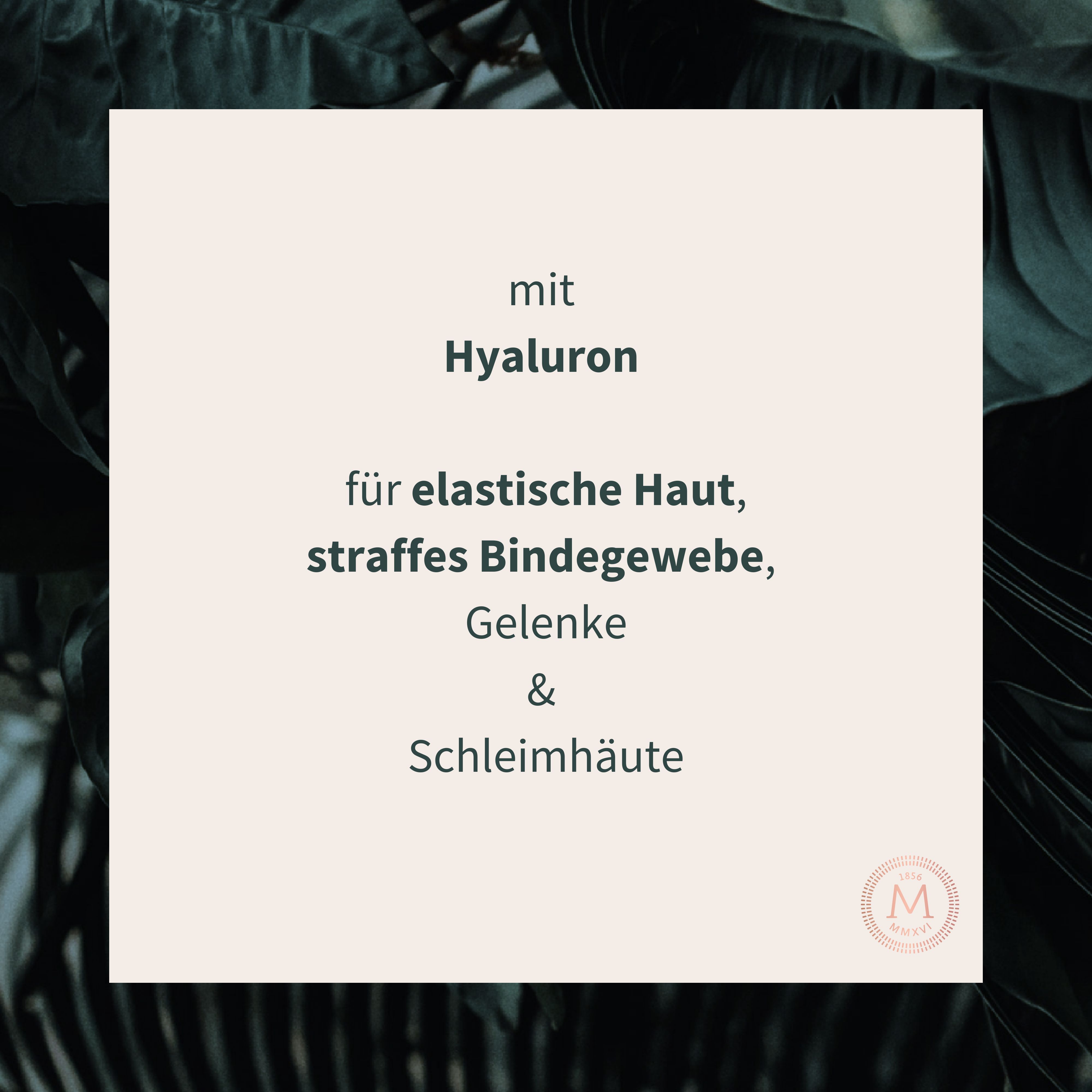 MEDICUSAN Beauty Perfection I Hyaluron - Spermidin - OPC