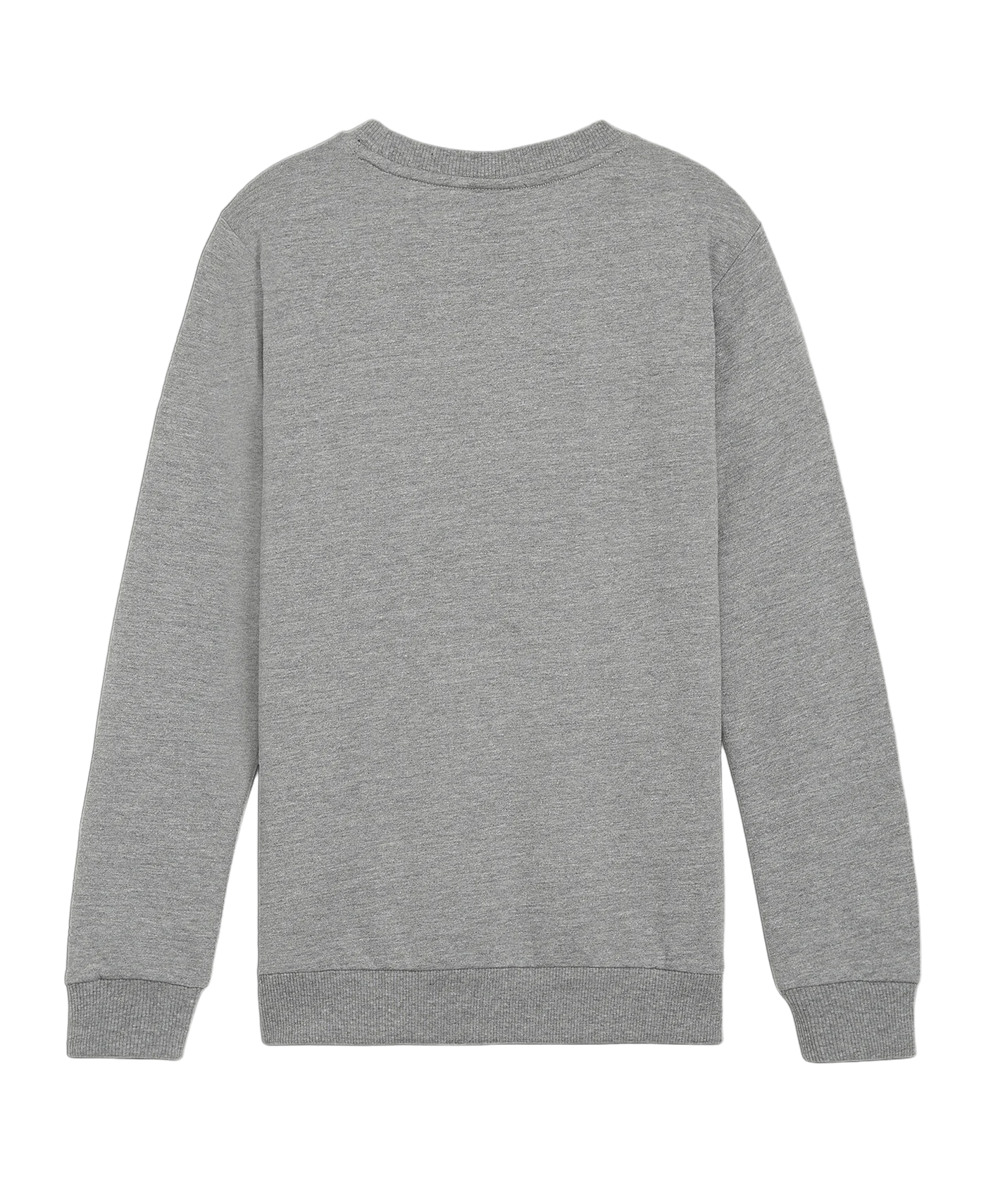PUMA teamGOAL Casuals Sweatshirt Kids Grau F33