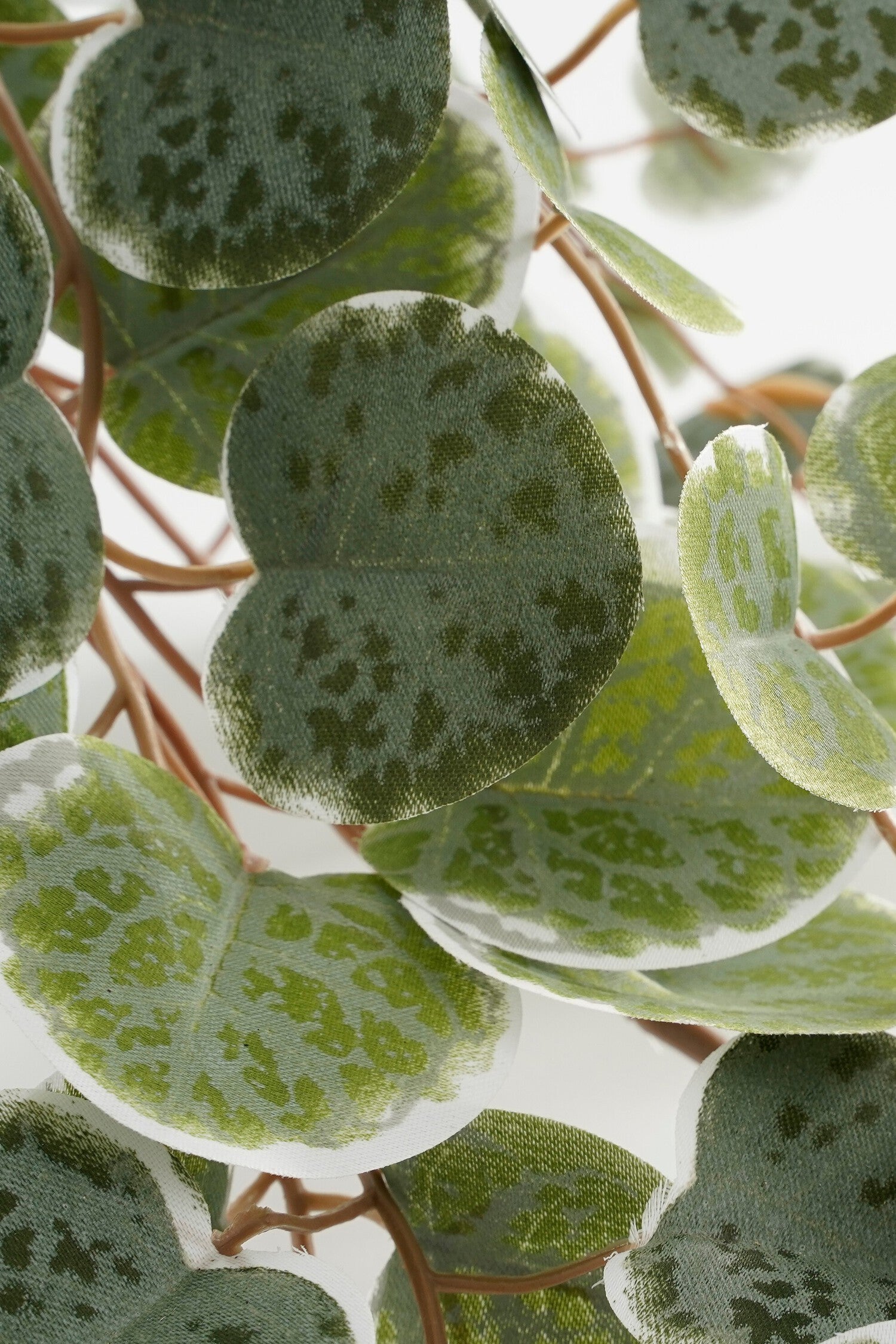 Mica Decorations kunstplant Lantaarnplantje groen 46 x 12 x 10 cm