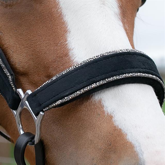 Halster HB Showtime Velvet Glitter Zwart-zilver