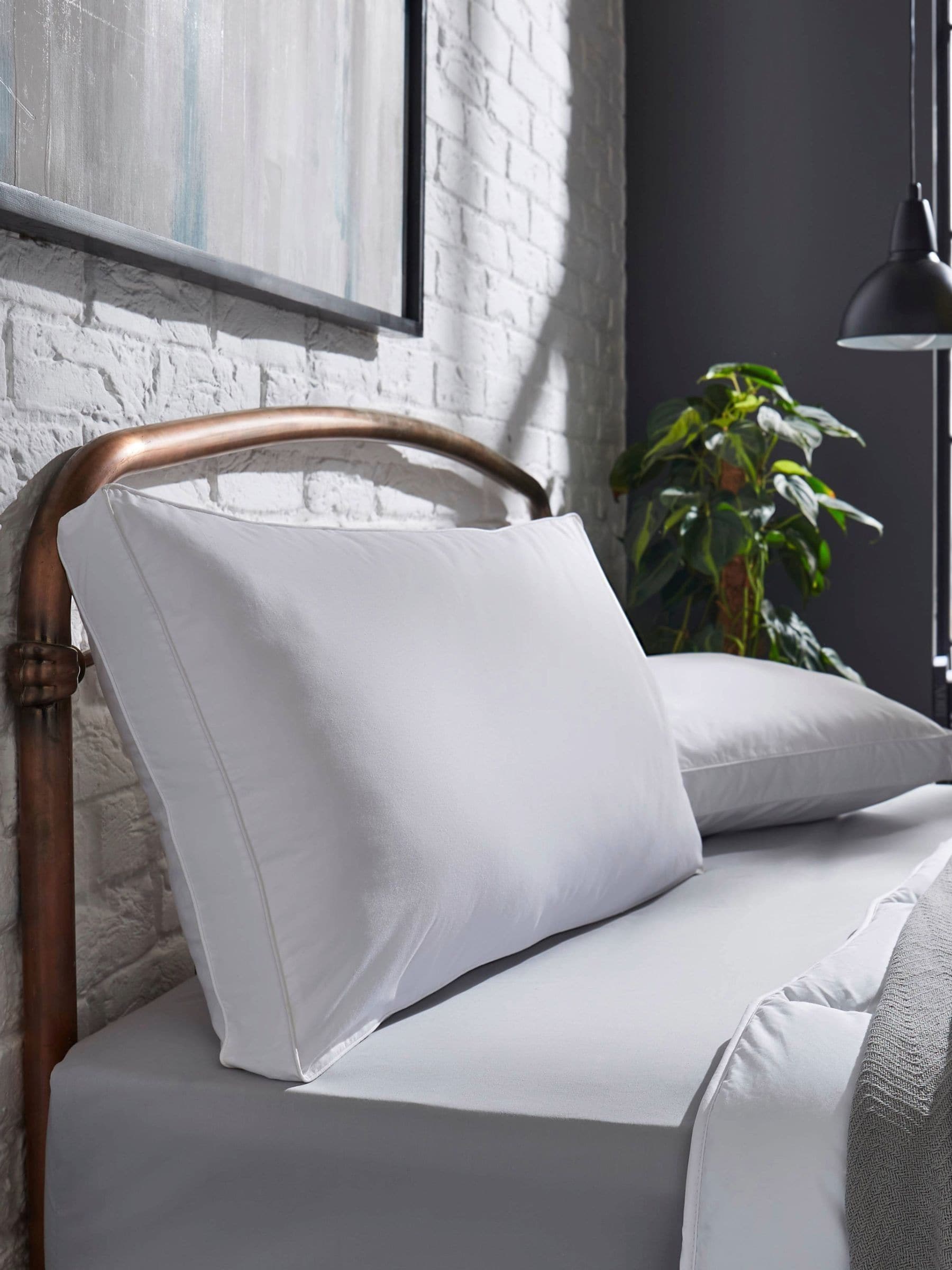 This is Sleep The Back Sleeper Pillow