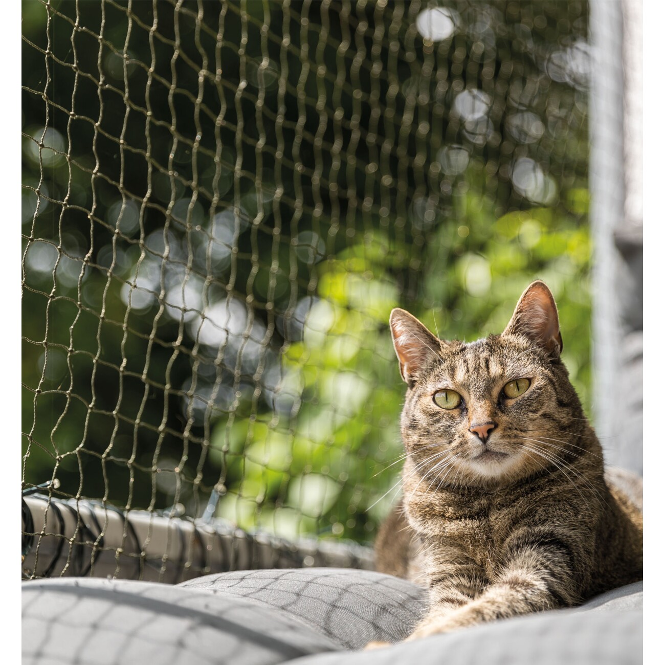 Trixie Katzenschutznetz Cat Protect 2 m, 1,5 m