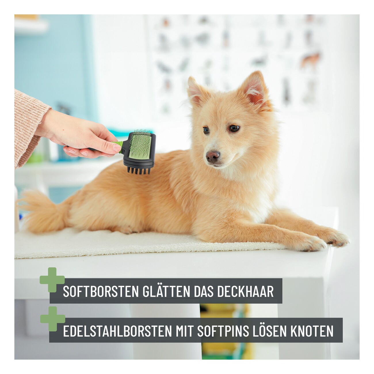 REAVET Zupfbürste 2in1