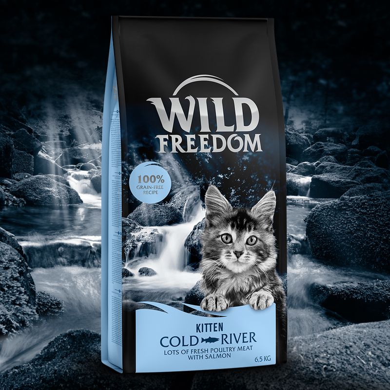 Wild Freedom Kitten Cold River, saumon