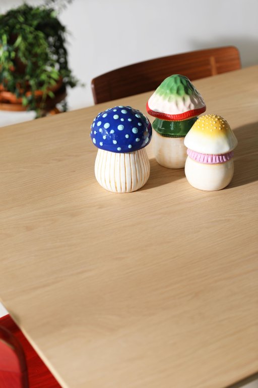 &klevering Magic Mushroom voorraadpot small
