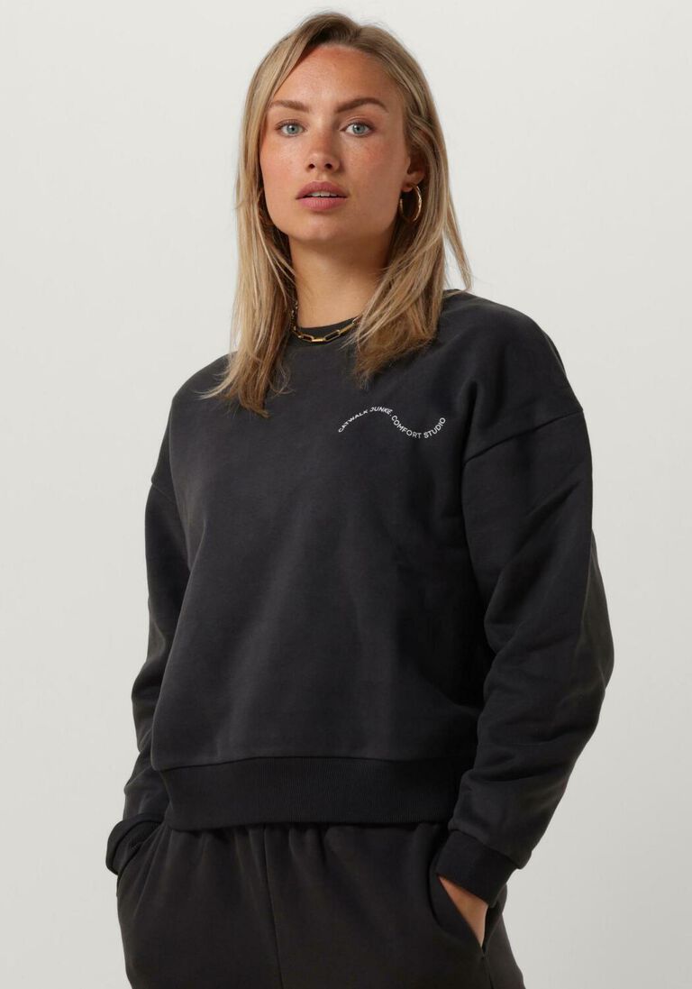 CATWALK JUNKIE donkergrijze catwalk junkie sweater sw be good do good