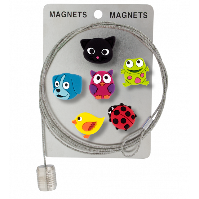 Câble porte photos et magnets - Magnetic Cable