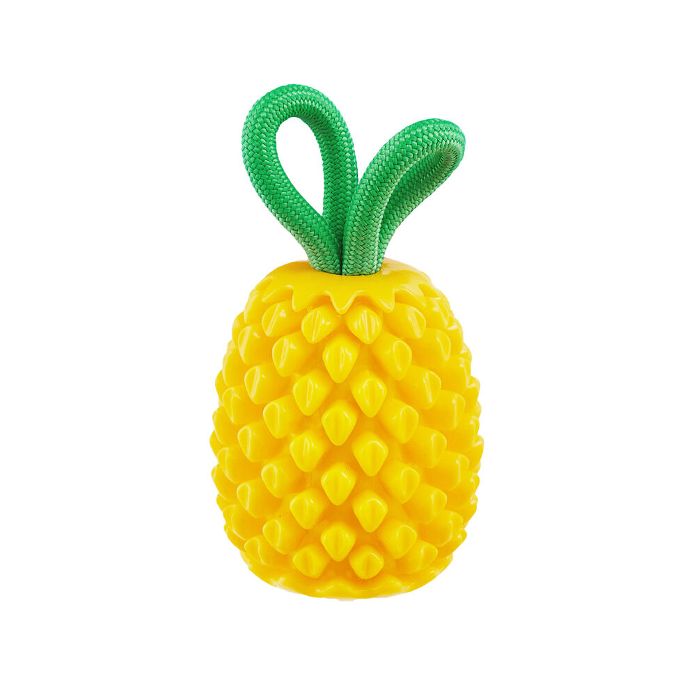 Outward Hound Dental Pineapple