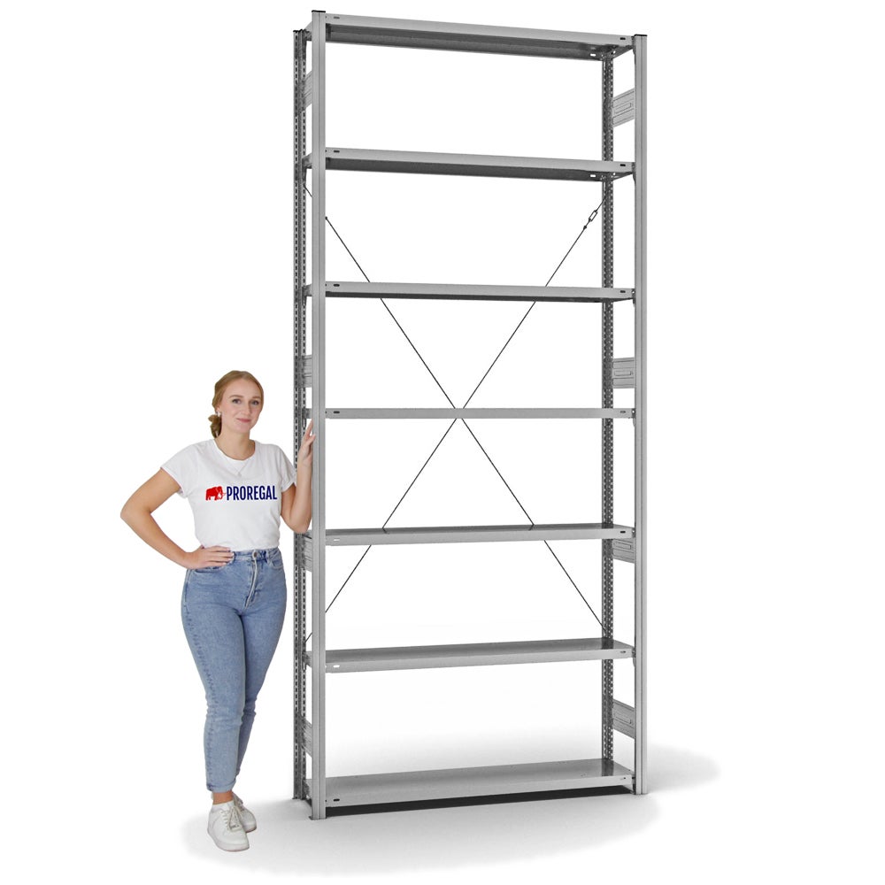 PROREGAL Stellingkast, insteeksysteem, T-profiel, extra zwaar, basiskast, hxbxd 300 x 130 x 30 cm, 7 legborden, draagvermogen 300 kg, toegang aan één zijde, verzinkt