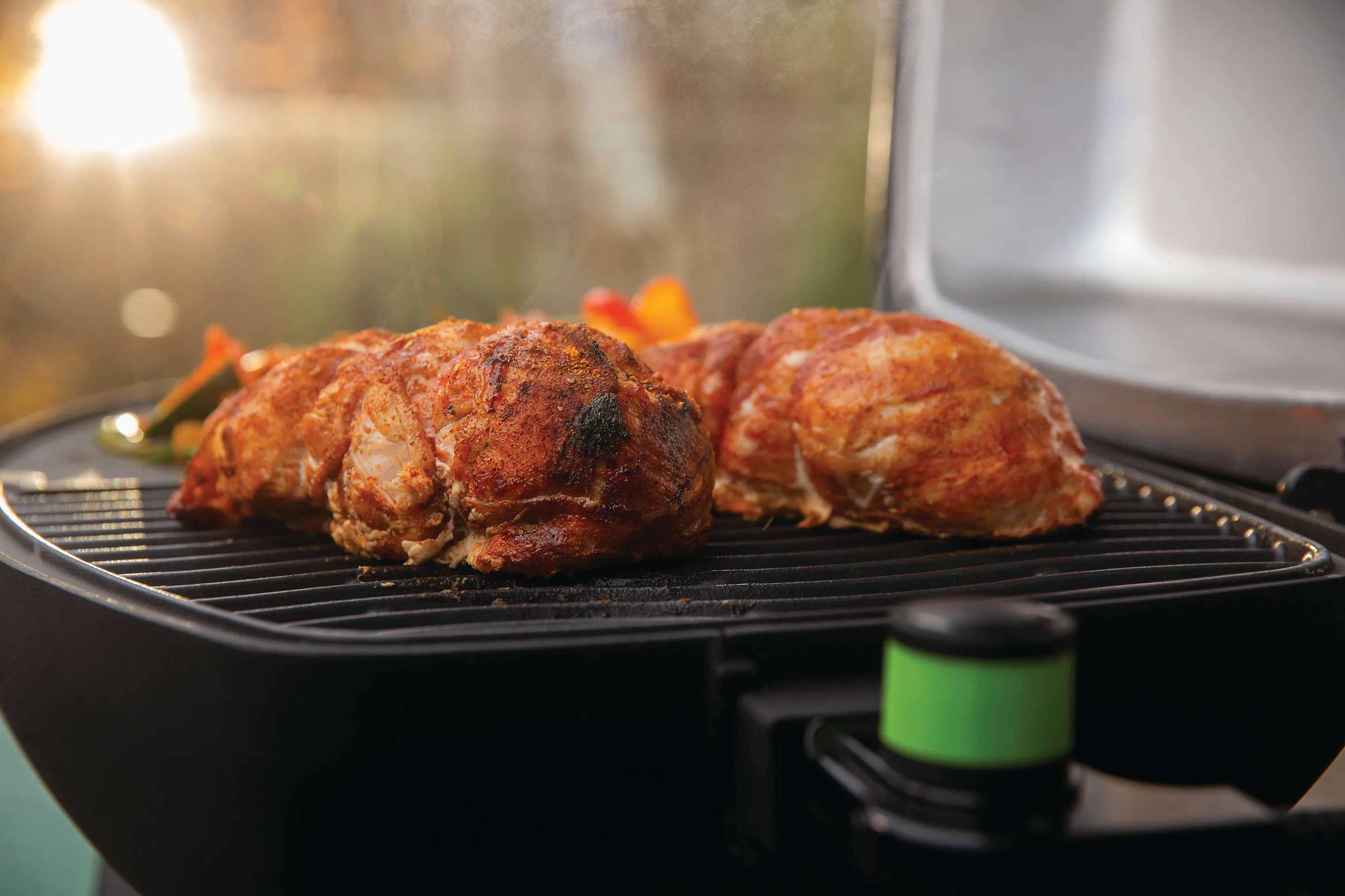 Napoleon TravelQ PRO 285 Elektrisk Grill