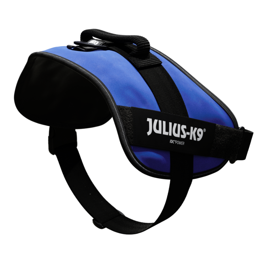 Coleira para cães Julius K9 IDC, azul