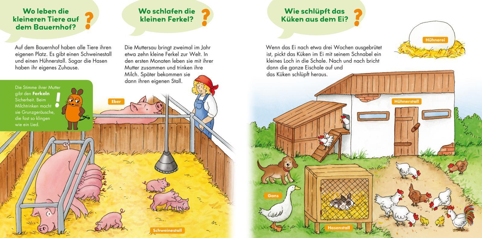 Bauernhof / Frag doch mal ... die Maus! Erstes Sachwissen Bd.2