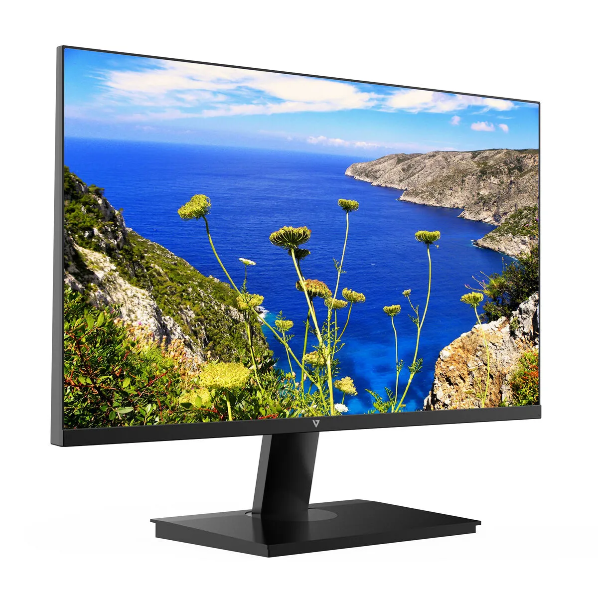 V7 Écran Full HD 23,8