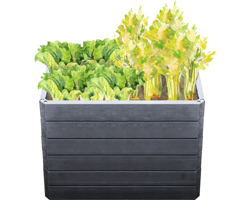 Klassieke verhoogde tuinbak GARANTIA ERGO Quadro M 75 incl. Flora waterbesparend systeem 80 x 60 x 75 cm hout