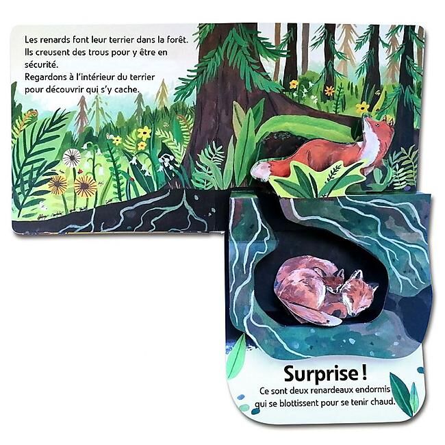 CARTOTHEQUE - LA FORET POP UP