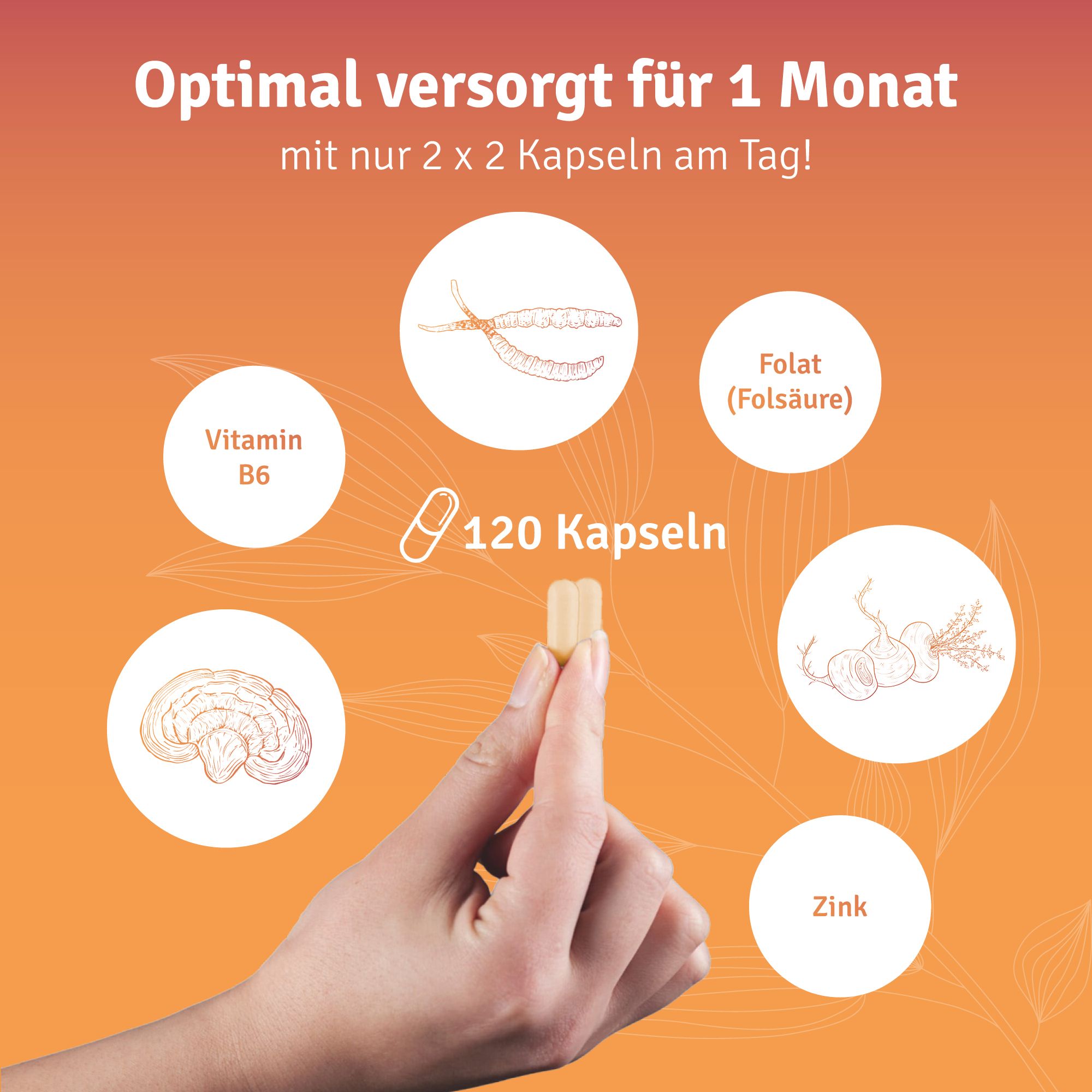 vitelly Pimp my Eggs Set für einen Monat