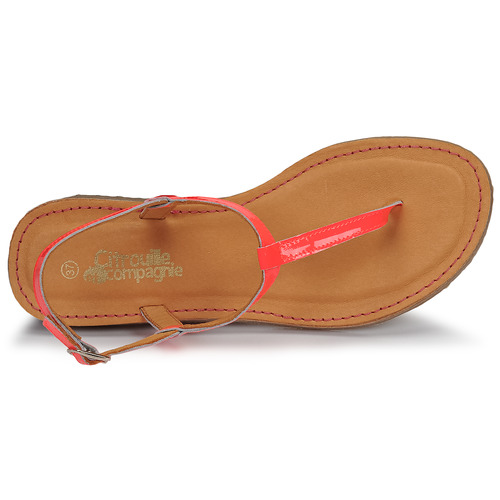 Citrouille et Compagnie - MIZZA - Rose fluo