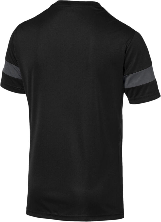 Puma ftblPLAY T-shirt Sort