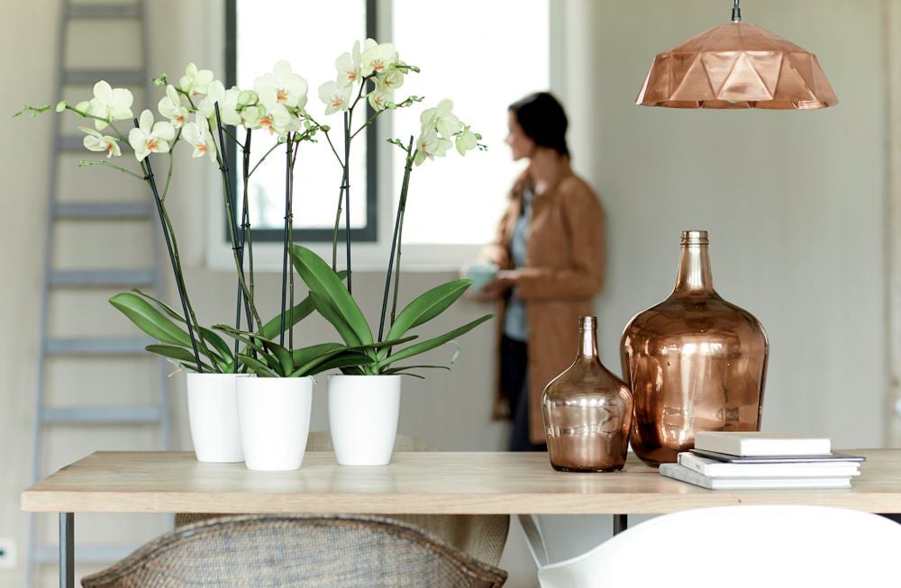 Elho bloempot Brussels orchidee wit D 12,5 H 15 cm