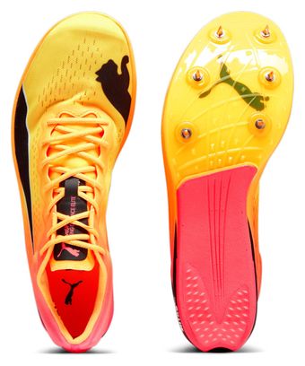 Chaussures Athlétisme evoSpeed Long Distance Elite Orange / Rouge