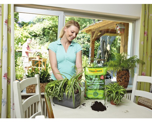 Floragard 20L Actieve Groene Planten- & Palmengrond voor alle kamerplanten en palmen