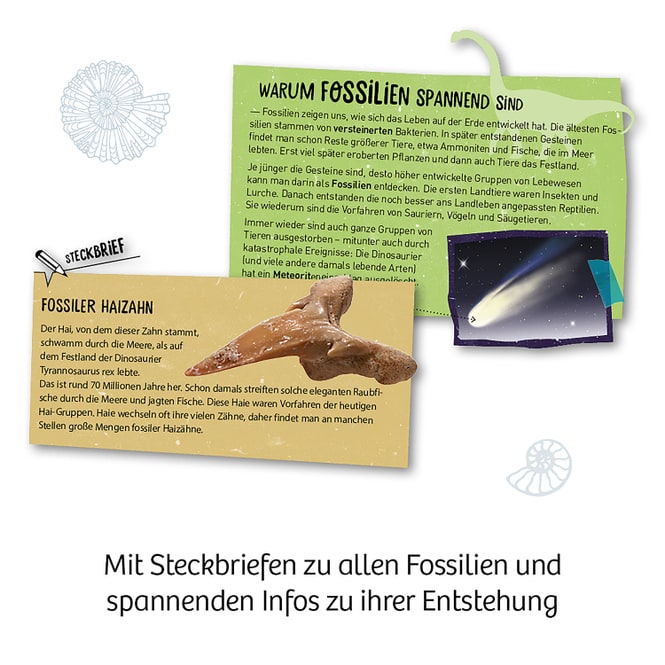 Fossilien - Ausgrabungs-Set - Mitbring-Experimente
