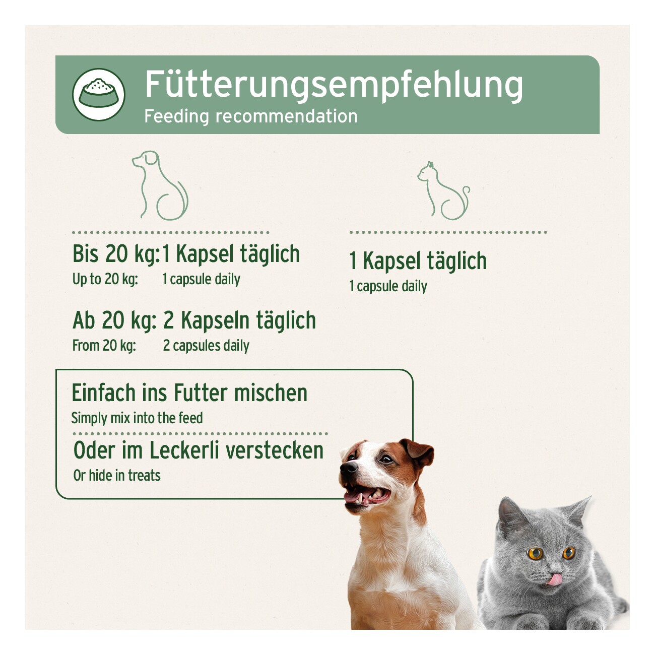 AniForte Lachsöl Kapseln 200 Stück