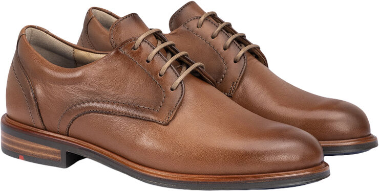 Lloyd 2431503 Brown