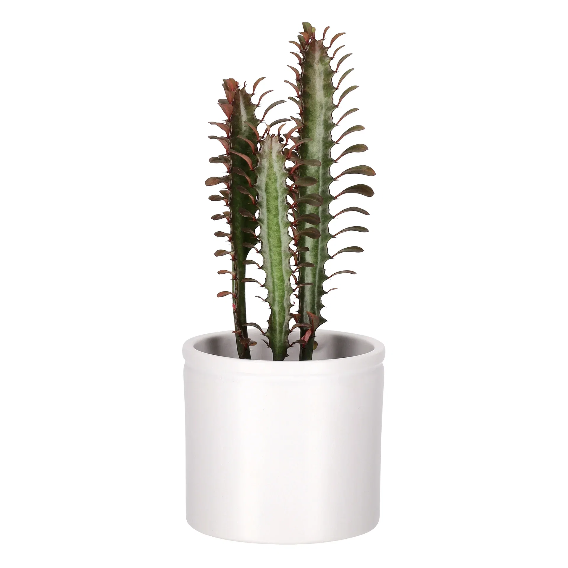 Potte Ada Ø13 cm