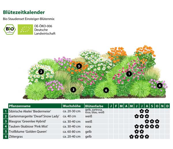 Bio Stauden-Set Einsteiger-Blütenmix,