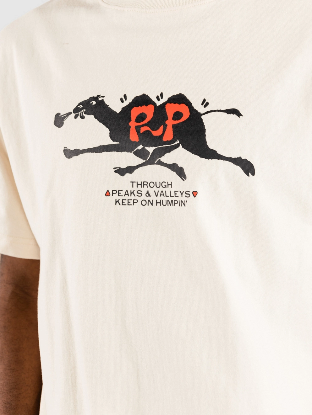 Pass Port Peaks & Valleys T-Shirt natural