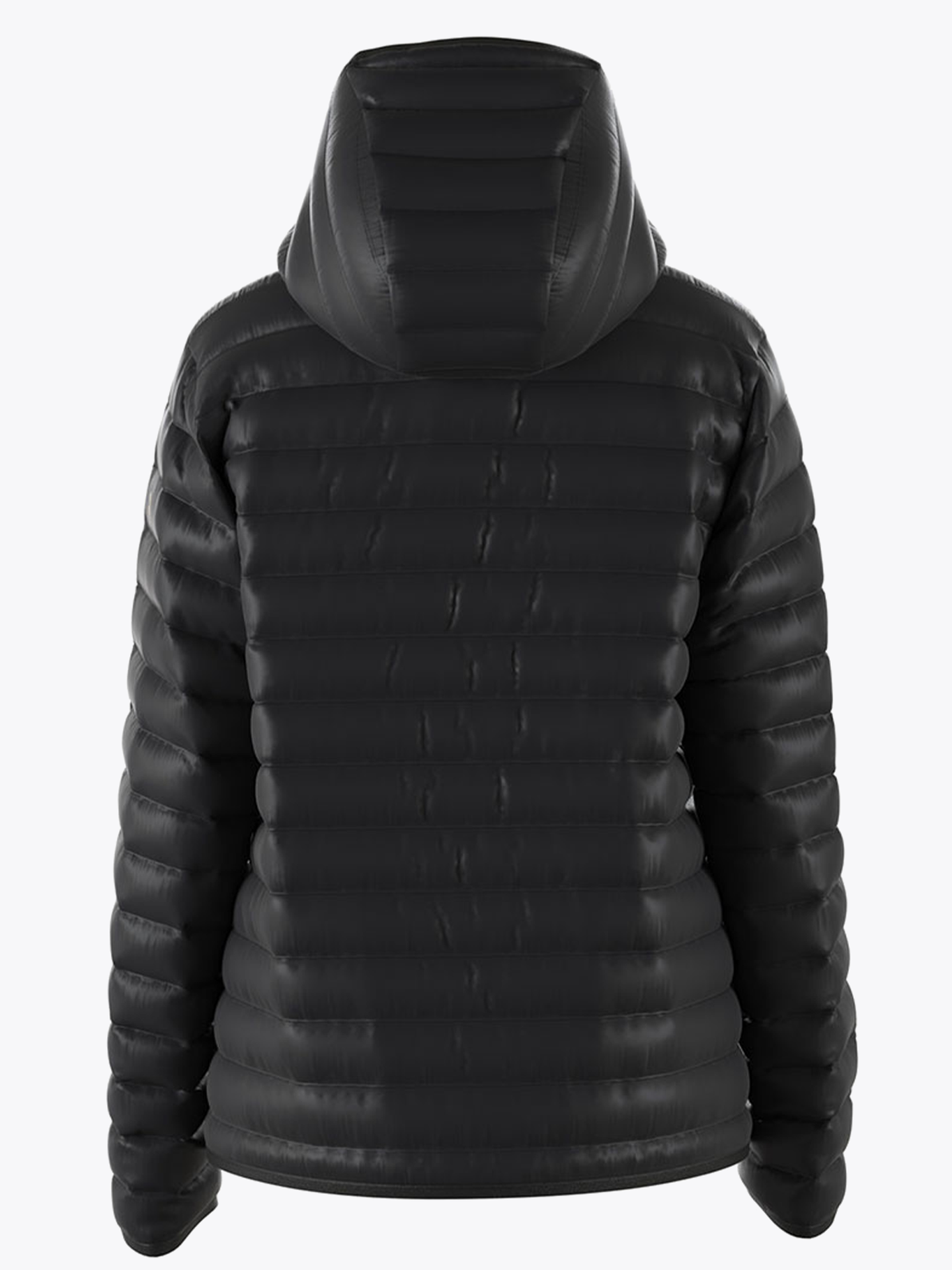 Down Liner Hood Jacket
