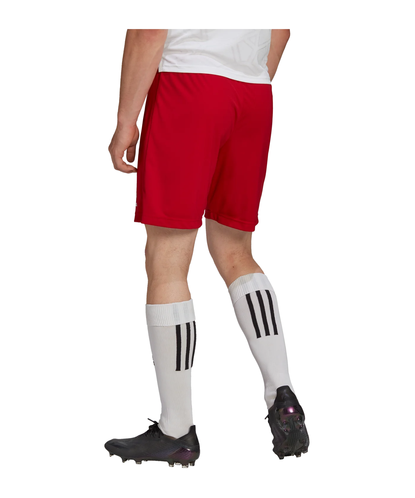 adidas Entrada 22 Short Rot